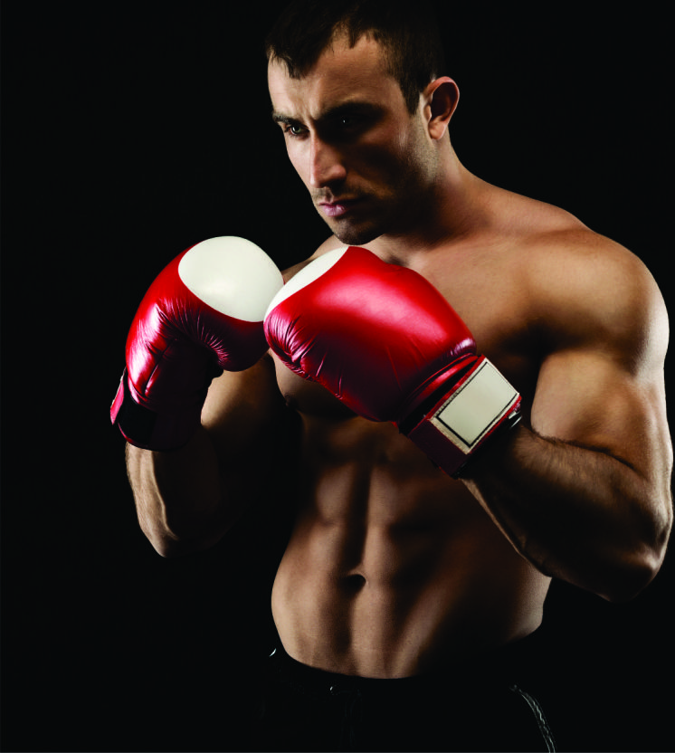 Uppercut Punching Bag — Curved Genuine Leather 60lb, Hook Body Shot Technique Training Boxing Wholesale